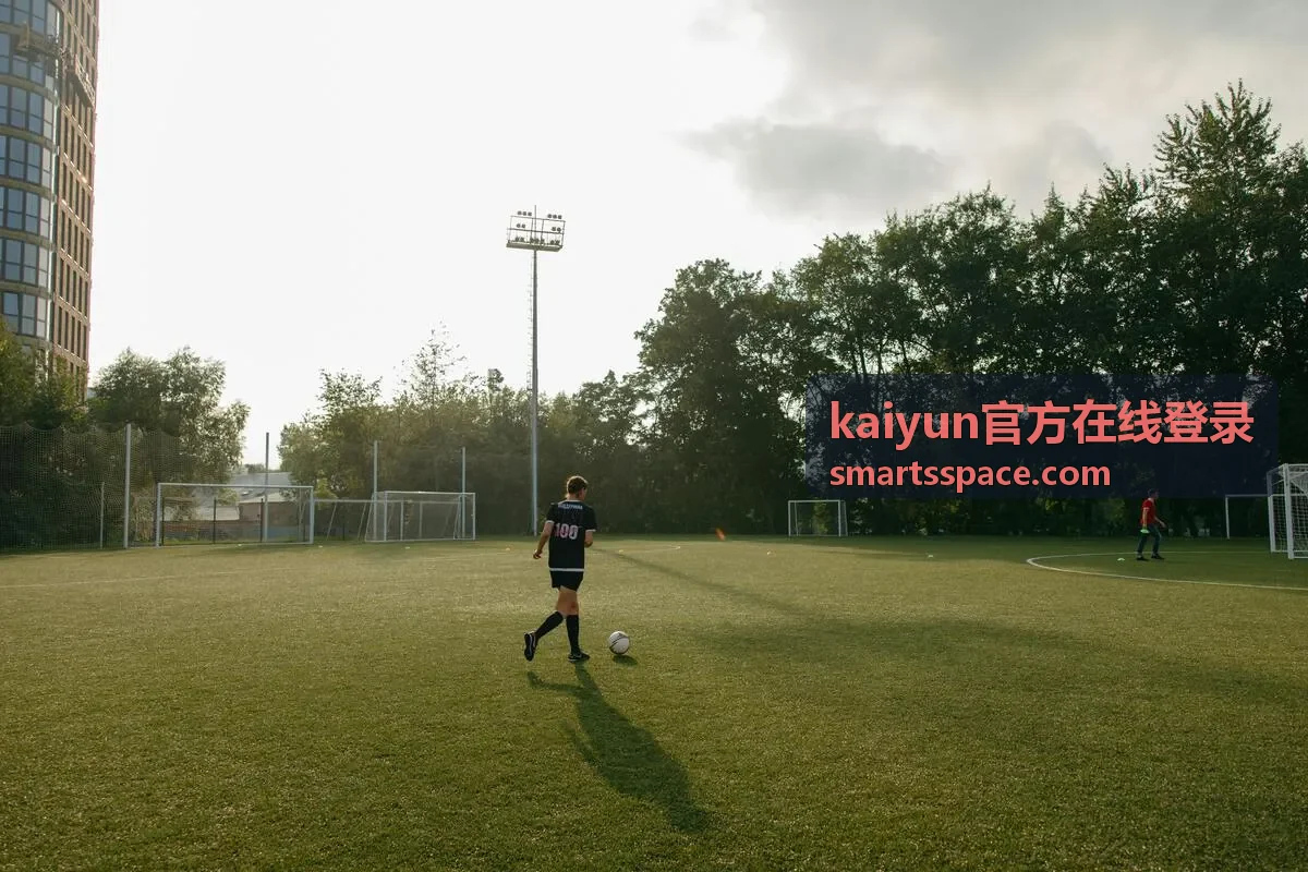 kaiyun官方在线登录 帮助支持配图