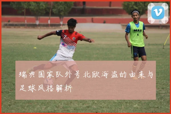 瑞典国家队外号北欧海盗的由来与足球风格解析