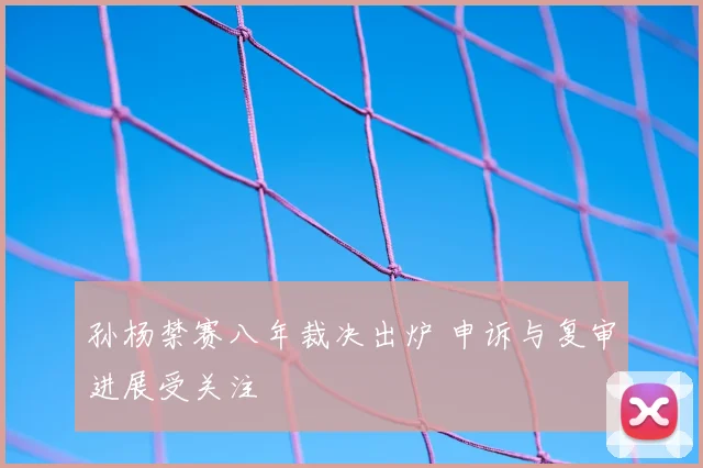 孙杨禁赛八年裁决出炉 申诉与复审进展受关注