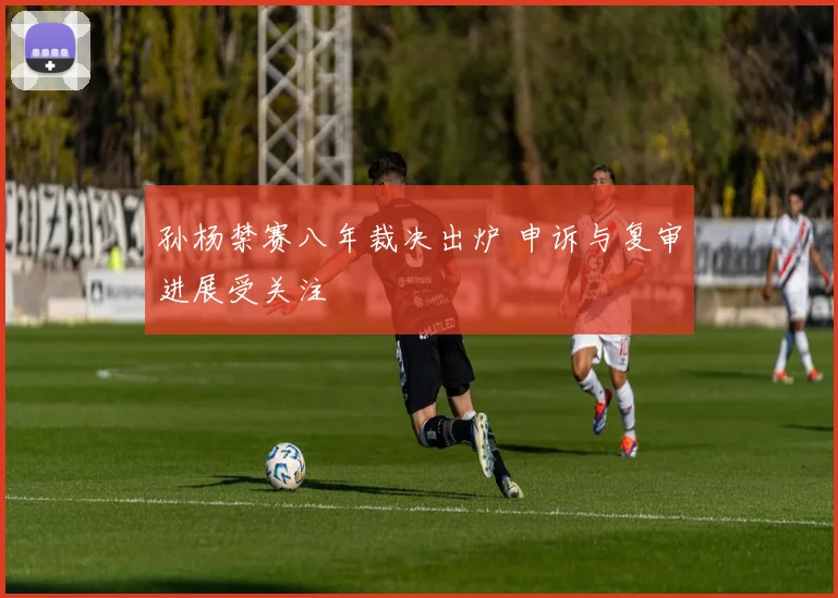 孙杨禁赛八年裁决出炉 申诉与复审进展受关注