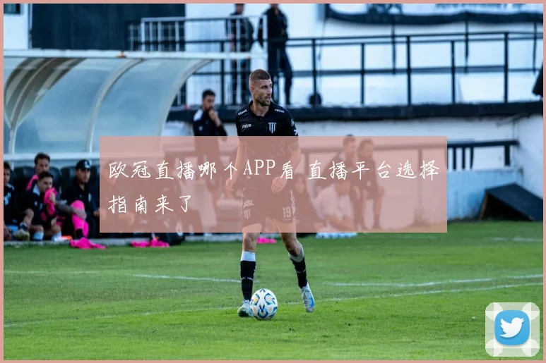欧冠直播哪个APP看 直播平台选择指南来了