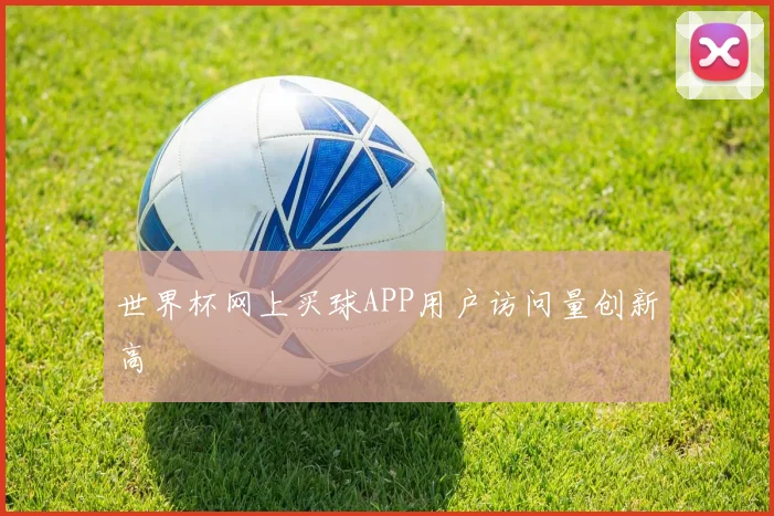 世界杯网上买球APP用户访问量创新高