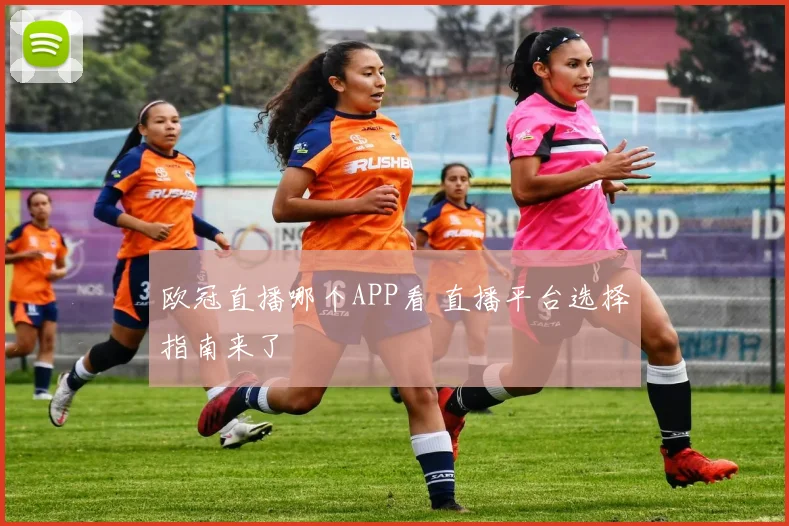 欧冠直播哪个APP看 直播平台选择指南来了