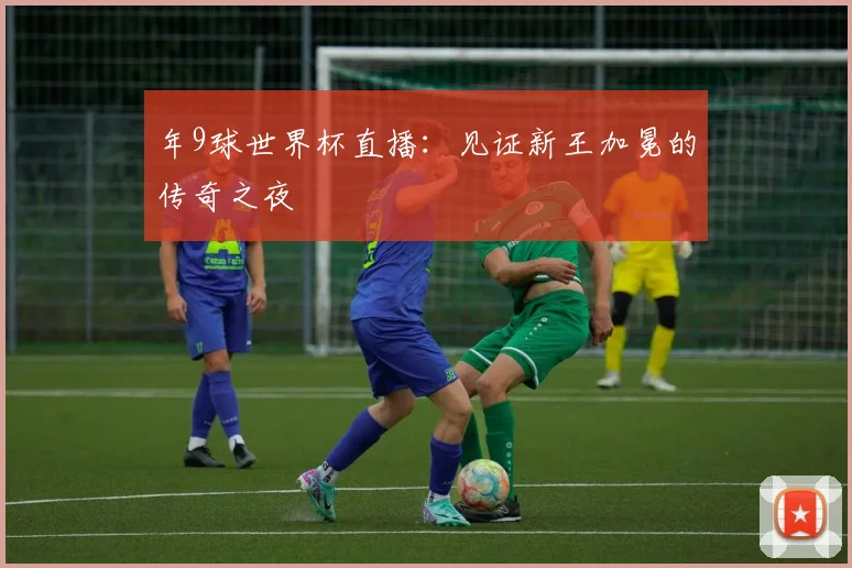 年9球世界杯直播：见证新王加冕的传奇之夜