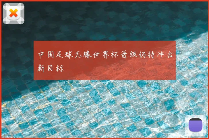 中国足球无缘世界杯晋级仍待冲击新目标