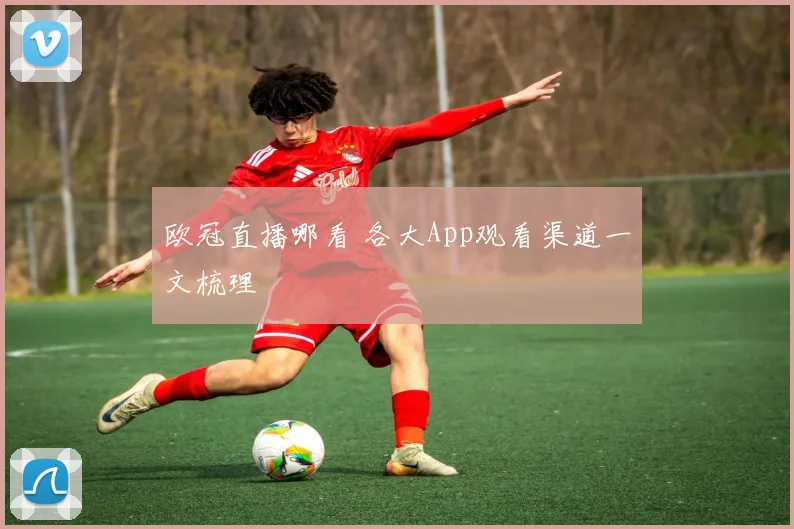 欧冠直播哪看 各大App观看渠道一文梳理