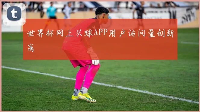 世界杯网上买球APP用户访问量创新高