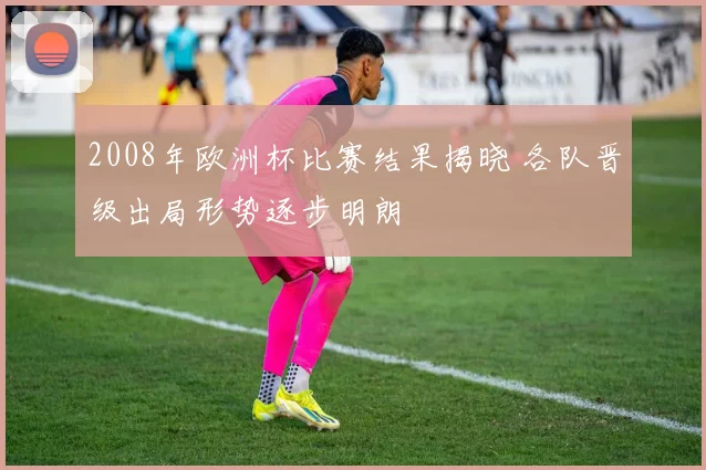 2008年欧洲杯比赛结果揭晓 各队晋级出局形势逐步明朗