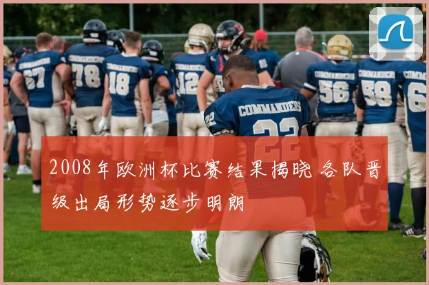 2008年欧洲杯比赛结果揭晓 各队晋级出局形势逐步明朗