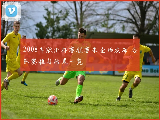 2008年欧洲杯赛程赛果全面发布 各队赛程与结果一览