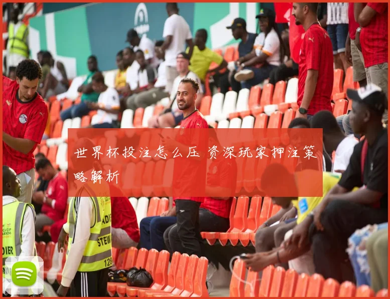 世界杯投注怎么压 资深玩家押注策略解析
